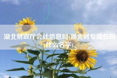 详细阅读:湖北财政厅会计信息网(湖北财专现在叫什么名字) 湖北财政厅会计信息网(湖北财专现在叫什么名字)