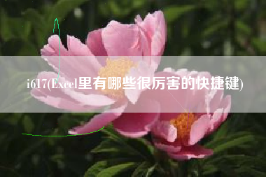 详细阅读:i617(Excel里有哪些很厉害的快捷键) i617(Excel里有哪些很厉害的快捷键)