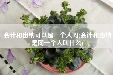 详细阅读:会计和出纳可以是一个人吗(会计和出纳是同一个人叫什么) 会计和出纳可以是一个人吗(会计和出纳是同一个人叫什么)