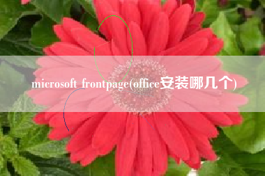 详细阅读:microsoft frontpage(office安装哪几个) microsoft frontpage(office安装哪几个)