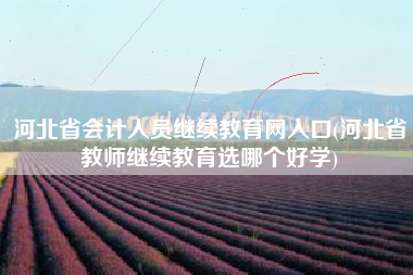 详细阅读:河北省会计人员继续教育网入口(河北省教师继续教育选哪个好学) 河北省会计人员继续教育网入口(河北省教师继续教育选哪个好学)