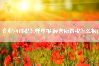 详细阅读:企业所得税怎样申报(经营所得税怎么报) 企业所得税怎样申报(经营所得税怎么报)
