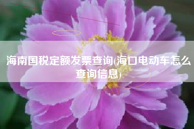 详细阅读:海南国税定额发票查询(海口电动车怎么查询信息) 海南国税定额发票查询(海口电动车怎么查询信息)