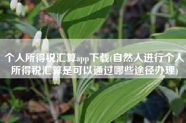 详细阅读:个人所得税汇算app下载(自然人进行个人所得税汇算是可以通过哪些途径办理) 个人所得税汇算app下载(自然人进行个人所得税汇算是可以通过哪些途径办理)