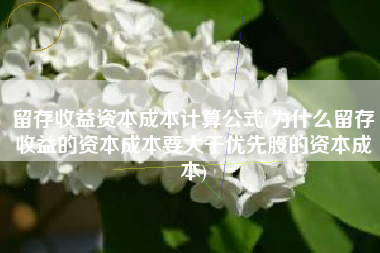 详细阅读:留存收益资本成本计算公式(为什么留存收益的资本成本要大于优先股的资本成本) 留存收益资本成本计算公式(为什么留存收益的资本成本要大于优先股的资本成本)