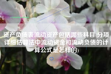 详细阅读:资产负债表流动资产包括哪些科目(分项详细估算法中流动资金和流动负债的计算公式是怎样的) 资产负债表流动资产包括哪些科目(分项详细估算法中流动资金和流动负债的计算公式是怎样的)