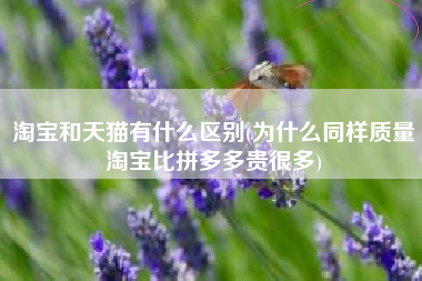 详细阅读:淘宝和天猫有什么区别(为什么同样质量淘宝比拼多多贵很多) 淘宝和天猫有什么区别(为什么同样质量淘宝比拼多多贵很多)