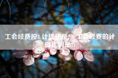 详细阅读:工会经费按8 计提还是2%(工会经费的计提比例是2) 工会经费按8 计提还是2%(工会经费的计提比例是2)