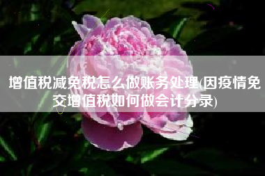 详细阅读:增值税减免税怎么做账务处理(因疫情免交增值税如何做会计分录) 增值税减免税怎么做账务处理(因疫情免交增值税如何做会计分录)