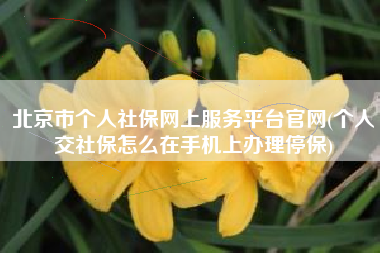 详细阅读:北京市个人社保网上服务平台官网(个人交社保怎么在手机上办理停保) 北京市个人社保网上服务平台官网(个人交社保怎么在手机上办理停保)