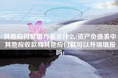 详细阅读:其他应付款借方表示什么(资产负债表中其他应收款和其他应付款可以并项填报吗) 其他应付款借方表示什么(资产负债表中其他应收款和其他应付款可以并项填报吗)