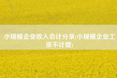 详细阅读:小规模企业收入会计分录(小规模企业工资不计提) 小规模企业收入会计分录(小规模企业工资不计提)