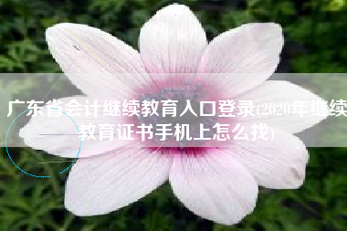 详细阅读:广东省会计继续教育入口登录(2020年继续教育证书手机上怎么找) 广东省会计继续教育入口登录(2020年继续教育证书手机上怎么找)