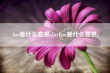 low是什么意思(GetLow是什么意思)