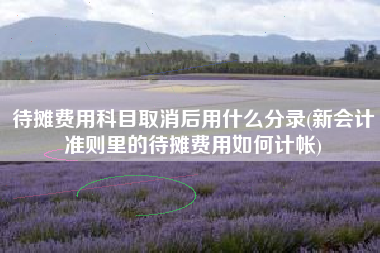 待摊费用科目取消后用什么分录(新会计准则里的待摊费用如何计帐)