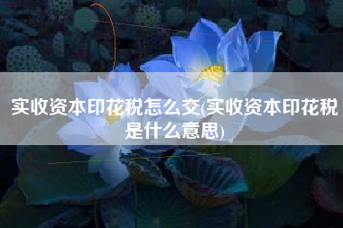 实收资本印花税怎么交(实收资本印花税是什么意思)