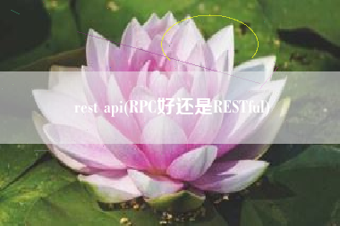 详细阅读:rest api(RPC好还是RESTful) rest api(RPC好还是RESTful)