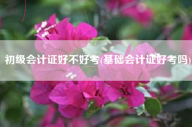 详细阅读:初级会计证好不好考(基础会计证好考吗) 初级会计证好不好考(基础会计证好考吗)