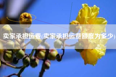 详细阅读:卖家承担运费(卖家承担运费额度为多少) 卖家承担运费(卖家承担运费额度为多少)