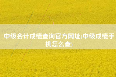 详细阅读:中级会计成绩查询官方网址(中级成绩手机怎么查) 中级会计成绩查询官方网址(中级成绩手机怎么查)