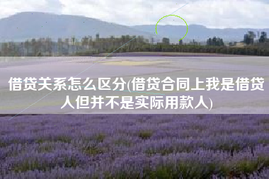 详细阅读:借贷关系怎么区分(借贷合同上我是借贷人但并不是实际用款人) 借贷关系怎么区分(借贷合同上我是借贷人但并不是实际用款人)