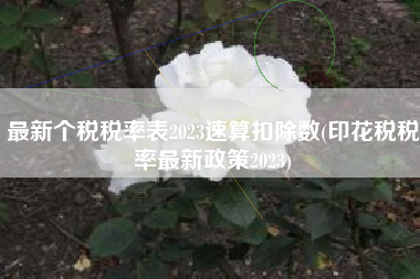 详细阅读:最新个税税率表2023速算扣除数(印花税税率最新政策2023) 最新个税税率表2023速算扣除数(印花税税率最新政策2023)