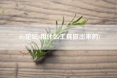 详细阅读:diy论坛(用什么工具做出来的) diy论坛(用什么工具做出来的)