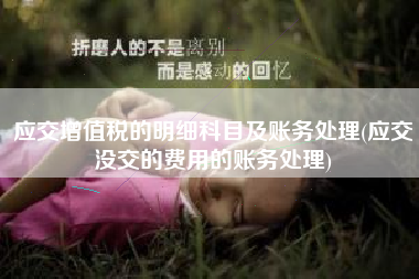 详细阅读:应交增值税的明细科目及账务处理(应交没交的费用的账务处理) 应交增值税的明细科目及账务处理(应交没交的费用的账务处理)