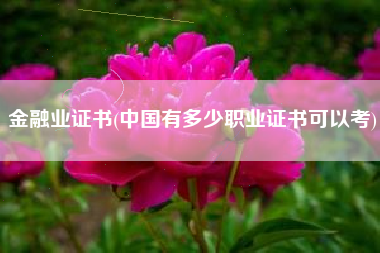 详细阅读:金融业证书(中国有多少职业证书可以考) 金融业证书(中国有多少职业证书可以考)