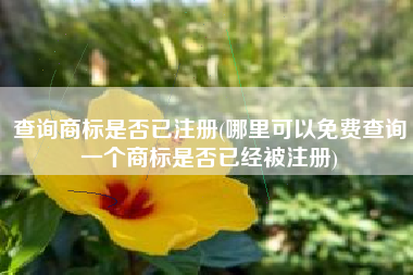 详细阅读:查询商标是否已注册(哪里可以免费查询一个商标是否已经被注册) 查询商标是否已注册(哪里可以免费查询一个商标是否已经被注册)