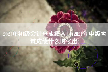 详细阅读:2021年初级会计查成绩入口(2021年中级考试成绩什么时候出) 2021年初级会计查成绩入口(2021年中级考试成绩什么时候出)