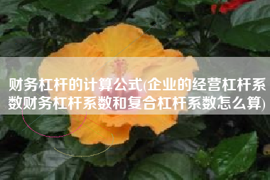 详细阅读:财务杠杆的计算公式(企业的经营杠杆系数财务杠杆系数和复合杠杆系数怎么算) 财务杠杆的计算公式(企业的经营杠杆系数财务杠杆系数和复合杠杆系数怎么算)