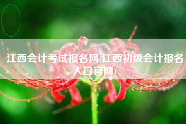 详细阅读:江西会计考试报名网(江西初级会计报名入口官网) 江西会计考试报名网(江西初级会计报名入口官网)