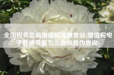 详细阅读:全国税务总局增值税发票查验(增值税电子普通发票怎么查询真伪查询) 全国税务总局增值税发票查验(增值税电子普通发票怎么查询真伪查询)