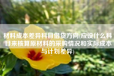 详细阅读:材料成本差异科目借贷方向(应设什么科目来核算原材料的采购情况和实际成本与计划差异) 材料成本差异科目借贷方向(应设什么科目来核算原材料的采购情况和实际成本与计划差异)