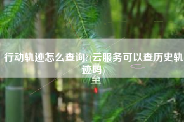 详细阅读:行动轨迹怎么查询?(云服务可以查历史轨迹吗) 行动轨迹怎么查询?(云服务可以查历史轨迹吗)