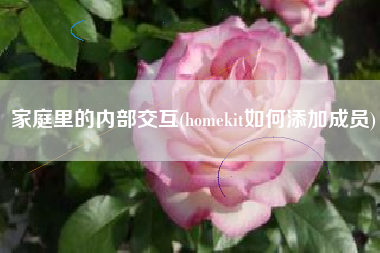 详细阅读:家庭里的内部交互(homekit如何添加成员) 家庭里的内部交互(homekit如何添加成员)