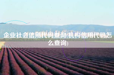 详细阅读:企业社会信用代码查询(机构信用代码怎么查询) 企业社会信用代码查询(机构信用代码怎么查询)