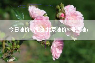 详细阅读:今日油价92汽油(北京油价92号汽油) 今日油价92汽油(北京油价92号汽油)