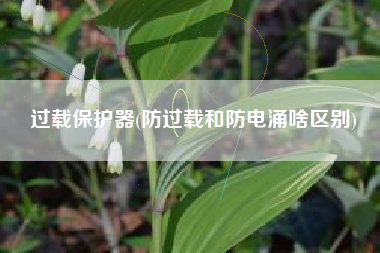 过载保护器(防过载和防电涌啥区别)