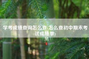 学考成绩查询怎么查(怎么查初中期末考试成绩单)