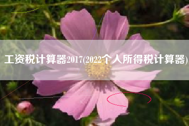 详细阅读:工资税计算器2017(2022个人所得税计算器) 工资税计算器2017(2022个人所得税计算器)