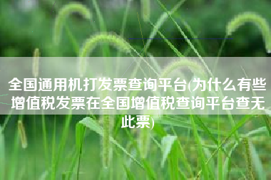 详细阅读:全国通用机打发票查询平台(为什么有些增值税发票在全国增值税查询平台查无此票) 全国通用机打发票查询平台(为什么有些增值税发票在全国增值税查询平台查无此票)