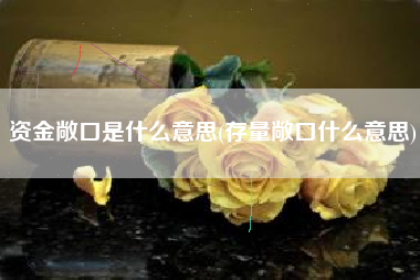 详细阅读:资金敞口是什么意思(存量敞口什么意思) 资金敞口是什么意思(存量敞口什么意思)