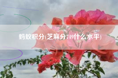 详细阅读:蚂蚁积分(芝麻分749什么水平) 蚂蚁积分(芝麻分749什么水平)