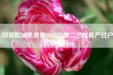 详细阅读:印花税减免政策2023(二零二三年房产过户还收费吗) 印花税减免政策2023(二零二三年房产过户还收费吗)