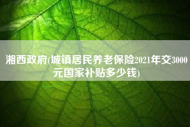 详细阅读:湘西政府(城镇居民养老保险2021年交3000元国家补贴多少钱) 湘西政府(城镇居民养老保险2021年交3000元国家补贴多少钱)