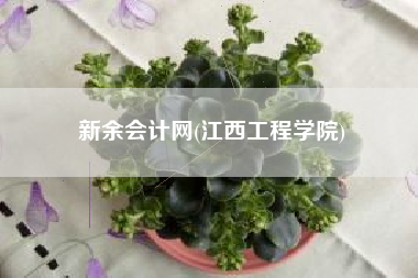 详细阅读:新余会计网(江西工程学院) 新余会计网(江西工程学院)