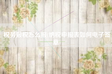 详细阅读:税务报税怎么报(纳税申报表如何电子签章) 税务报税怎么报(纳税申报表如何电子签章)