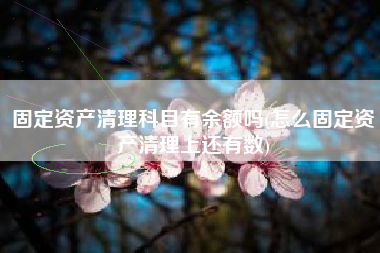 详细阅读:固定资产清理科目有余额吗(怎么固定资产清理上还有数) 固定资产清理科目有余额吗(怎么固定资产清理上还有数)